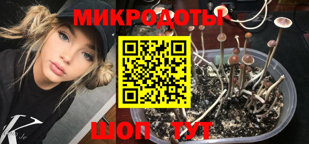 Тулун  Галлюциногенные грибы GOLDEN TEACHER  Вход с VPN 